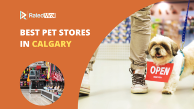 Best Pet stores in Calgary